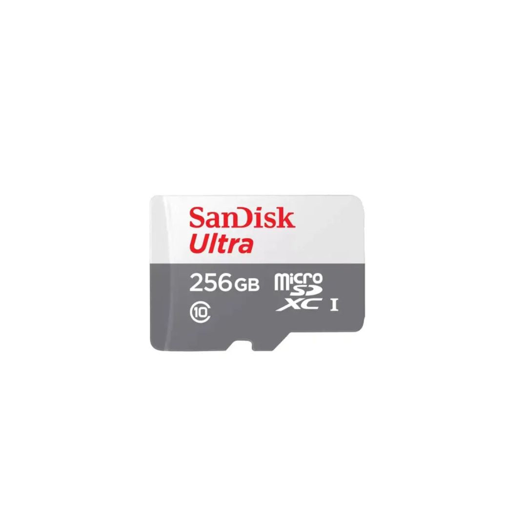 SanDisk microSD 256GB SDSQUNR – Memoria microSD UHS-I
